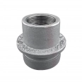 Fitpro Reducător concentric filetat